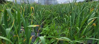 채경희님의 자유주제 · 자유게시판 작성글 사진