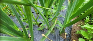 채경희님의 자유주제 · 자유게시판 작성글 사진