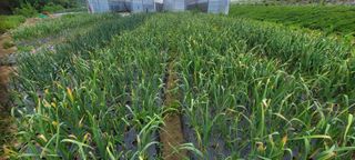 채경희님의 자유주제 · 자유게시판 작성글 사진