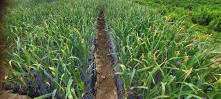 채경희님의 자유주제 · 자유게시판 작성글 사진