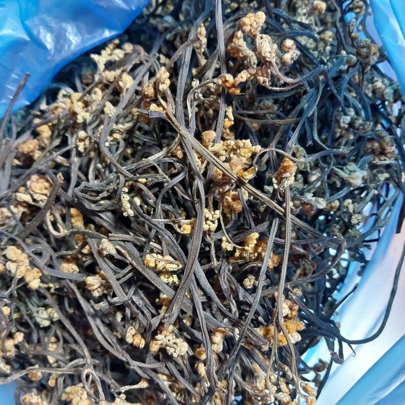 장터 상품 [건고사리600g] 썸네일