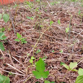 박수연님의 작성글 사진