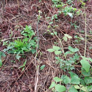 박수연님의 작성글 사진