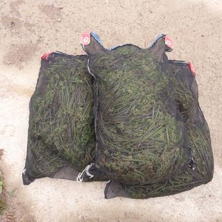 박수연님의 작성글 사진