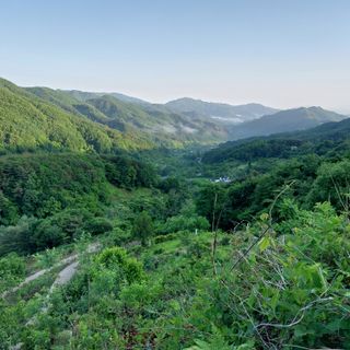 박수연님의 작성글 사진