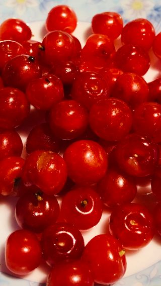 밀양아리랑님의 금쪽같은 내 작물 자랑하기 · 참여 작성글 사진