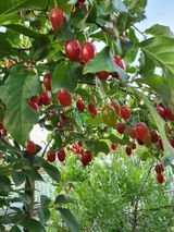 팜모닝 자유주제·자유게시판 게시글 이미지