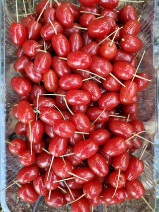 김옥균 님의 자유주제 · 자유게시판 작성글 사진