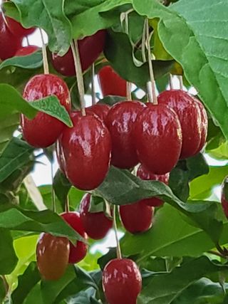 김옥균 님의 자유주제 · 자유게시판 작성글 사진