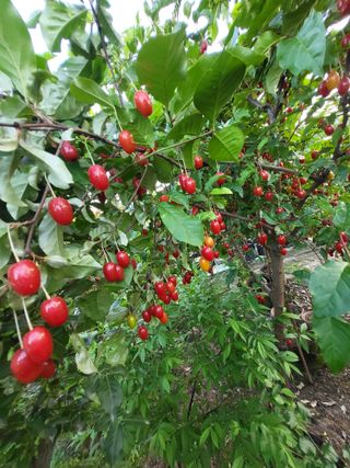 김옥균 님의 자유주제 · 자유게시판 작성글 사진