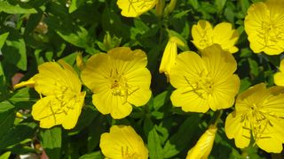 산초박님의 자유주제 · 사진전 작성글 사진