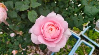 산초박님의 자유주제 · 사진전 작성글 사진