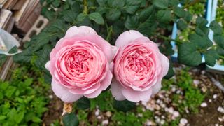 산초박님의 자유주제 · 사진전 작성글 사진