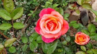 산초박님의 자유주제 · 사진전 작성글 사진