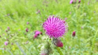 산초박님의 자유주제 · 사진전 작성글 사진