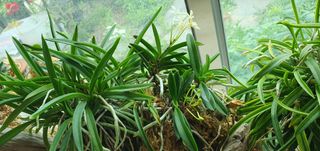 이흥옥님의 벼 · 자유게시판 작성글 사진