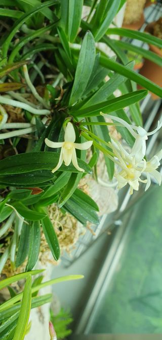 이흥옥님의 벼 · 자유게시판 작성글 사진