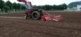 박현희님의 콩 · 자유게시판 작성글 사진