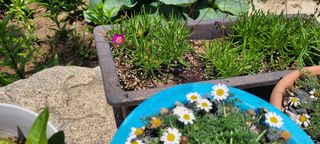 채경희님의 자유주제 · 자유게시판 작성글 사진