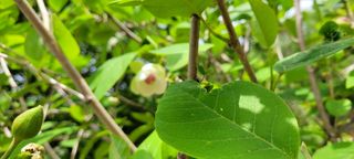 채경희님의 자유주제 · 자유게시판 작성글 사진