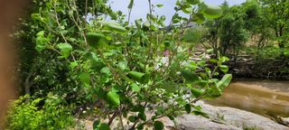 채경희님의 자유주제 · 자유게시판 작성글 사진