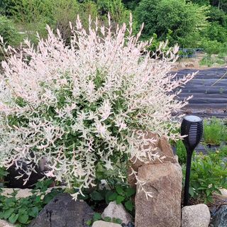 채경희님의 자유주제 · 자유게시판 작성글 사진