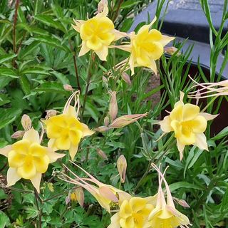 채경희님의 자유주제 · 자유게시판 작성글 사진