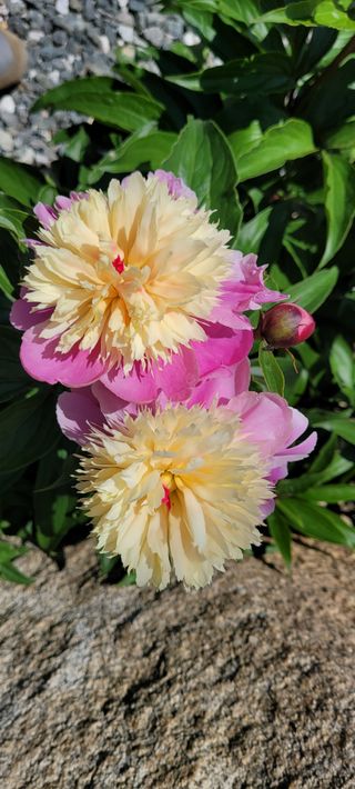 채경희님의 자유주제 · 자유게시판 작성글 사진