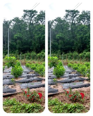 도시촌놈님의 작성글 사진