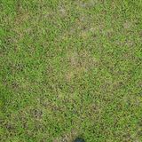 팜모닝 자유주제·자유게시판 게시글 이미지