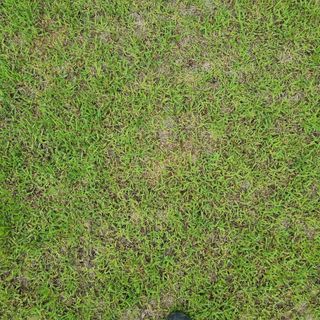 서정혁님의 자유주제 · 자유게시판 작성글 사진