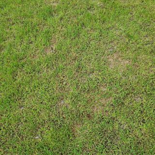 서정혁님의 자유주제 · 자유게시판 작성글 사진