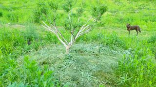 산초박님의 기타작물 · 자유게시판 작성글 사진