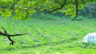 산초박님의 기타작물 · 자유게시판 작성글 사진