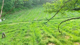 산초박님의 기타작물 · 자유게시판 작성글 사진