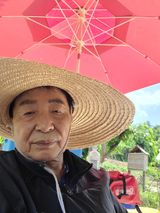 팜모닝 마늘·마늘 쪽 비대기 게시글 이미지