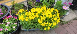 신현덕님의 자유주제 · 사진전 작성글 사진