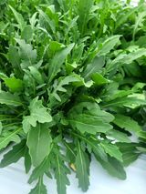 팜모닝 · 게시글 이미지