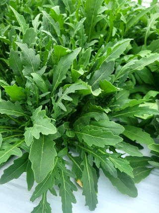 권미화님의 작성글 사진