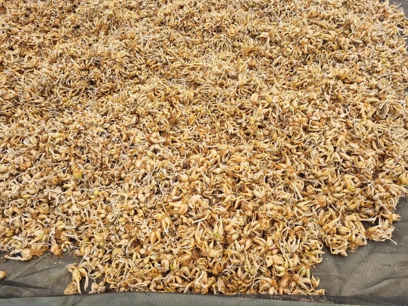 장터 상품 [판매완료] 썸네일