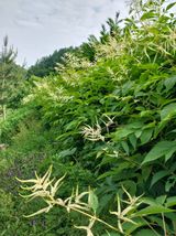 팜모닝 금쪽같은 내 작물 자랑하기·참여 게시글 이미지