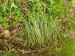 임태빈탑정호주말농장님의 기타작물 · 자유게시판 작성글 사진