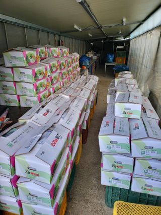 이혜인님의 금쪽같은 내 작물 자랑하기 · 참여 작성글 사진