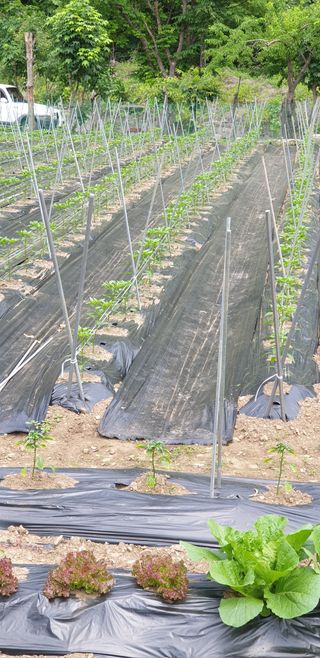 박춘식님의 자유주제 · 자유게시판 작성글 사진