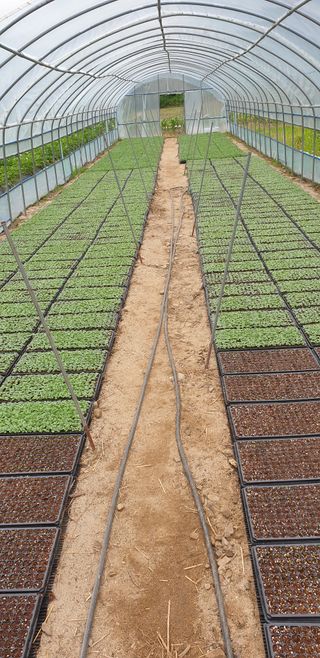 박춘식님의 자유주제 · 자유게시판 작성글 사진