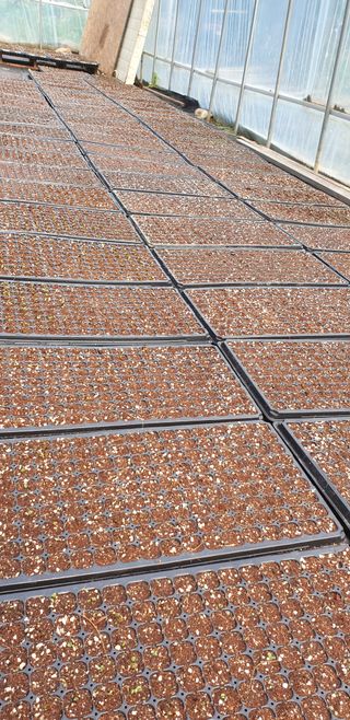 박춘식님의 자유주제 · 자유게시판 작성글 사진