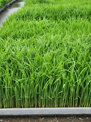 알 수 없음님의 자유주제 · 자유게시판 작성글 사진