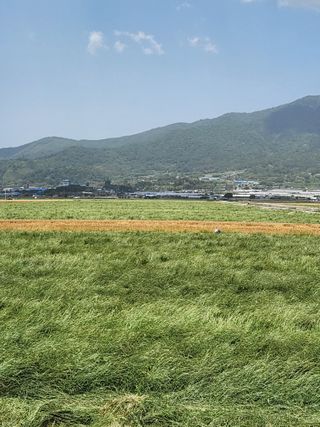 알 수 없음님의 자유주제 · 자유게시판 작성글 사진