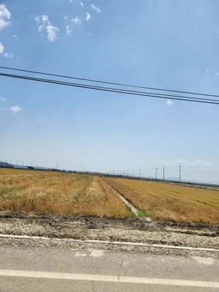 알 수 없음님의 자유주제 · 자유게시판 작성글 사진