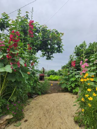 알 수 없음님의 자유주제 · 자유게시판 작성글 사진